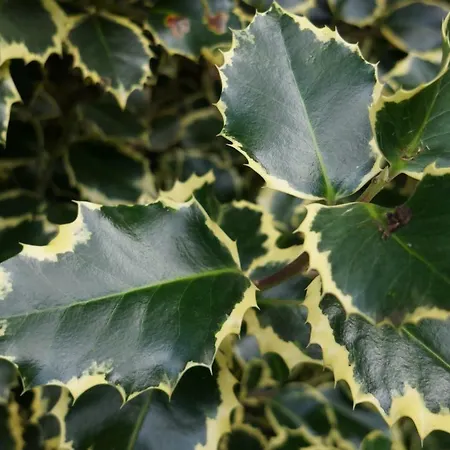 Mit Pool Und In Виттен