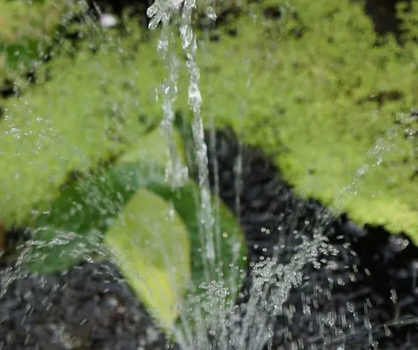 Apartment Mit Pool Und In