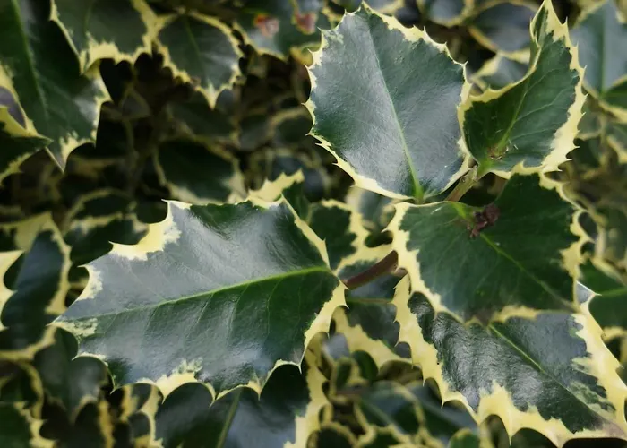 Mit Pool Und In Witten